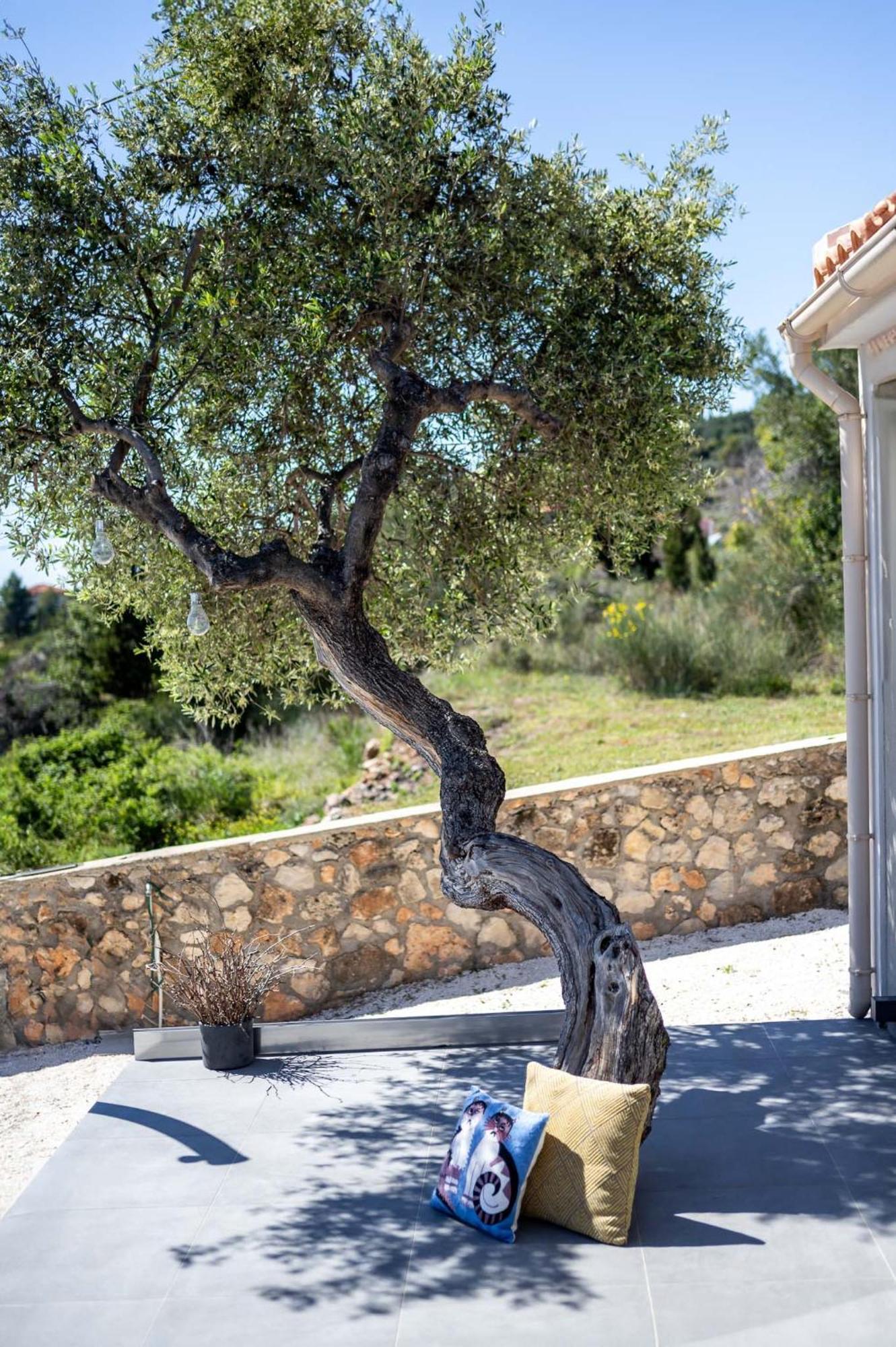 Villa Tree Of Life Valeriános Exterior foto